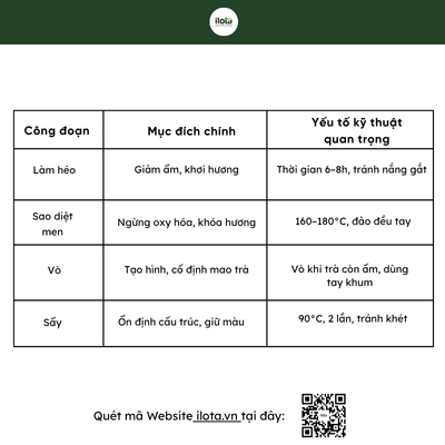 tra-mong-rong-doc-ban-tu-nui-cao-di-san-tu-dat-troi