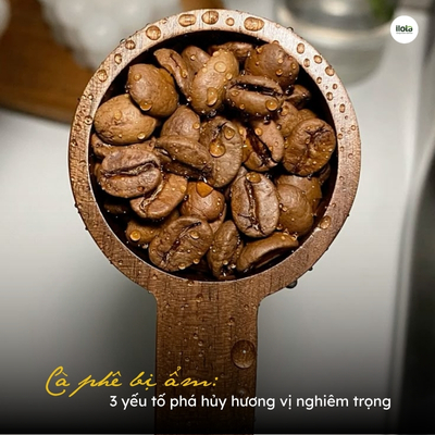 ca-phe-bi-am-3-yeu-to-pha-huy-huong-vi-ca-phe