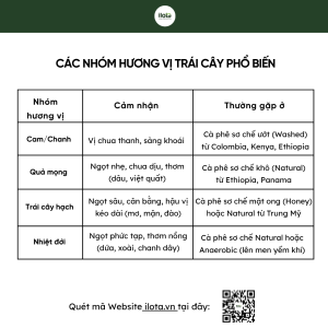 tai-sao-ca-phe-co-vi-trai-cay