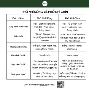 cach-bao-quan-tra-pho-nhi