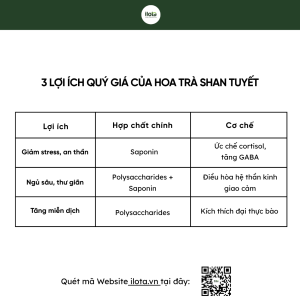 loi-ich-cua-hoa-tra-shan-tuyet-bau-vat-an-than