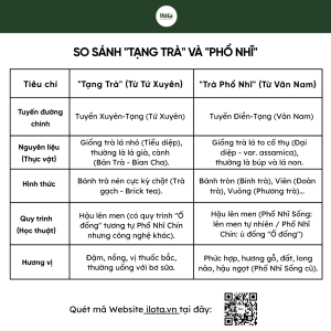 tra-ma-co-dao-tram-tich-khoi-sinh-di-san-pho-nhi