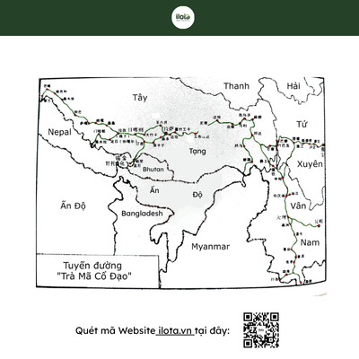 tra-pho-nhi-hanh-trinh-nghin-nam-cua-di-san-song