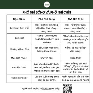 cach-bao-quan-tra-pho-nhi