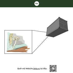 hoat-do-nuoc-aw-trong-ca-phe