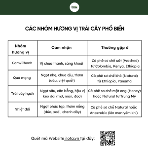tai-sao-lai-co-huong-vi-trai-cay-trong-ca-phe