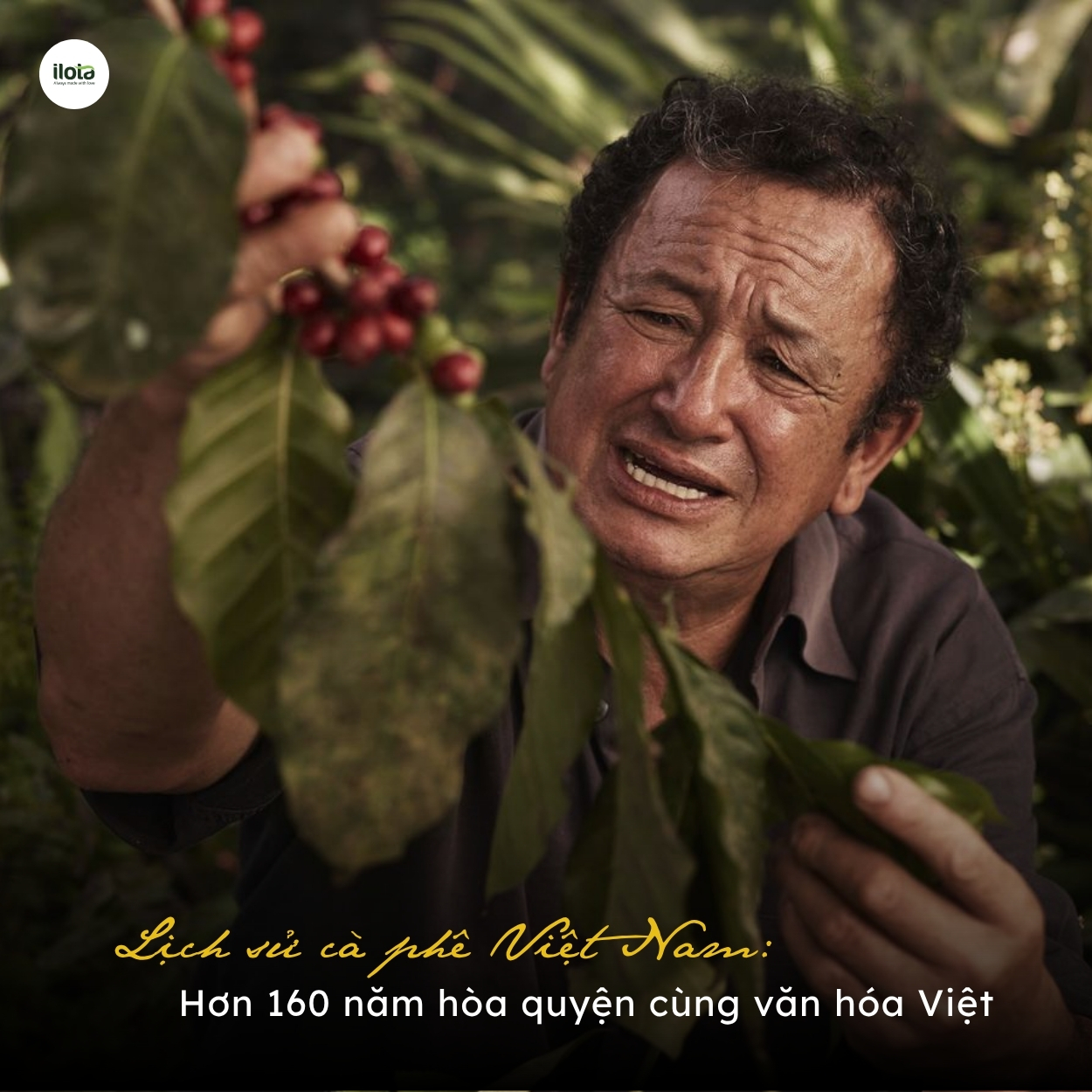 lich-su-ca-phe-viet-nam-hon-160-nam-cung-van-hoa-viet