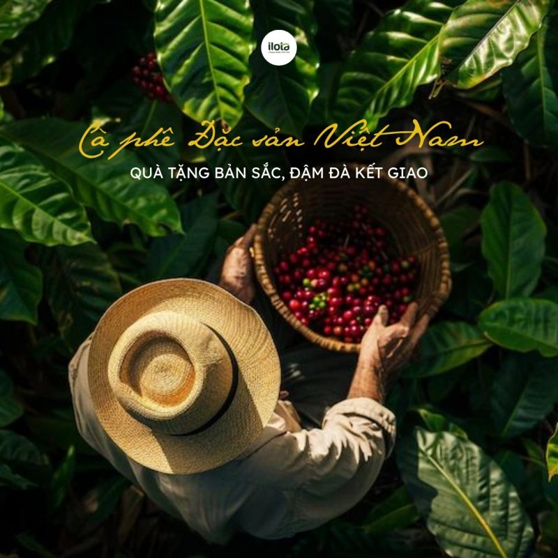 ca-phe-dac-san-viet-nam