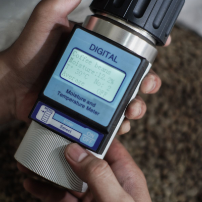 độ ẩm nhân xanh độ ẩm cà phê