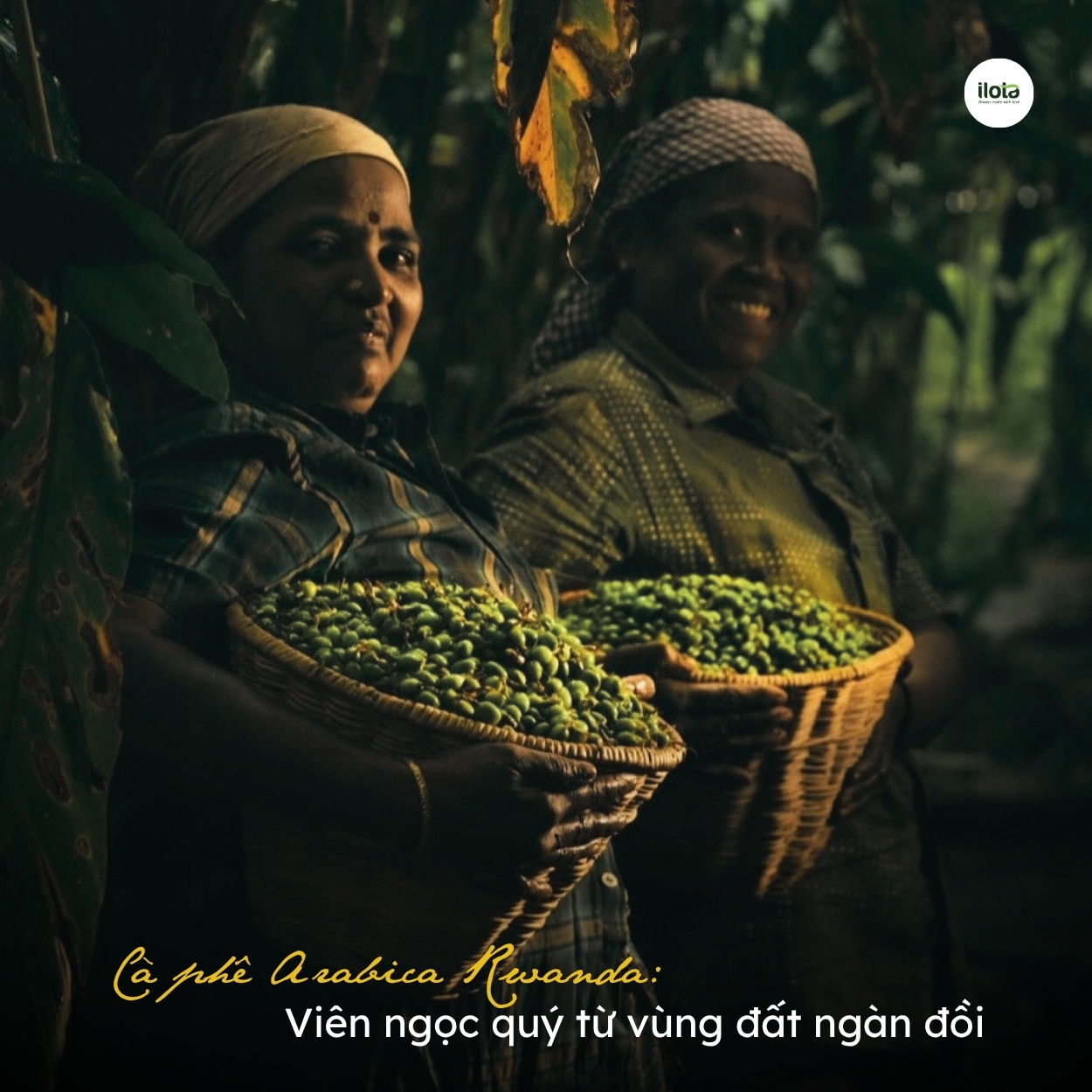 ca-phe-arabica-rwanda-vien-ngoc-quy-tu-vung-dat-ngan-doi
