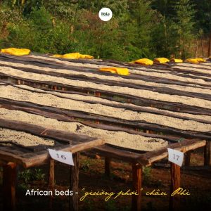 ca-phe-arabica-rwanda-vien-ngoc-quy-tu-vung-dat-ngan-doi