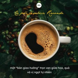 ca-phe-arabica-rwanda-vien-ngoc-quy-tu-vung-dat-ngan-doi