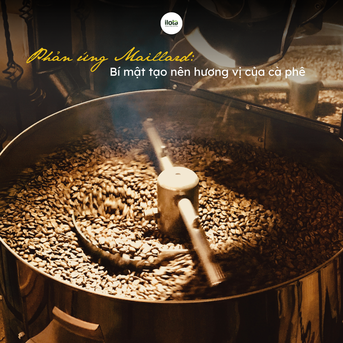 phan-ung-maillard-bi-mat-tao-nen-huong-vi-cua-ca-phe