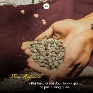 fine-robusta