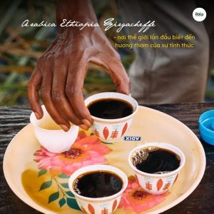 arabica-ethiopia-yirgacheffe