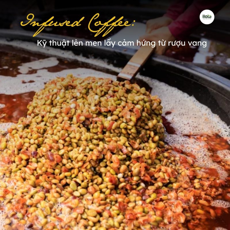 infused-coffee-ky-thuat-lay-cam-hung-tu-ruou-vang