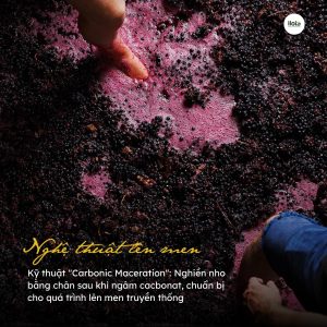 infused-coffee-ky-thuat-lay-cam-hung-tu-ruou-vang