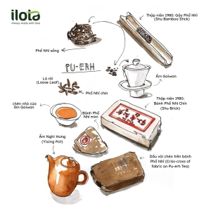 tra-pho-nhi-hanh-trinh-nghin-nam-cua-di-san-song