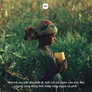 arabica-ethiopia-yirgacheffe