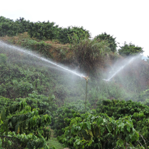 bien-doi-khi-hau-den-nganh-ca-phe