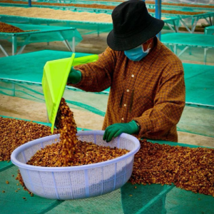 huong-vi-trai-cay-trong-ca-phe