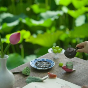 cach-pha-luc-shan-sen-say-lanh