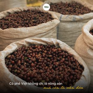 ca-phe-dac-san-viet-nam