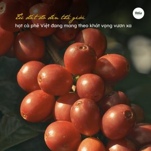 ca-phe-dac-san-viet-nam