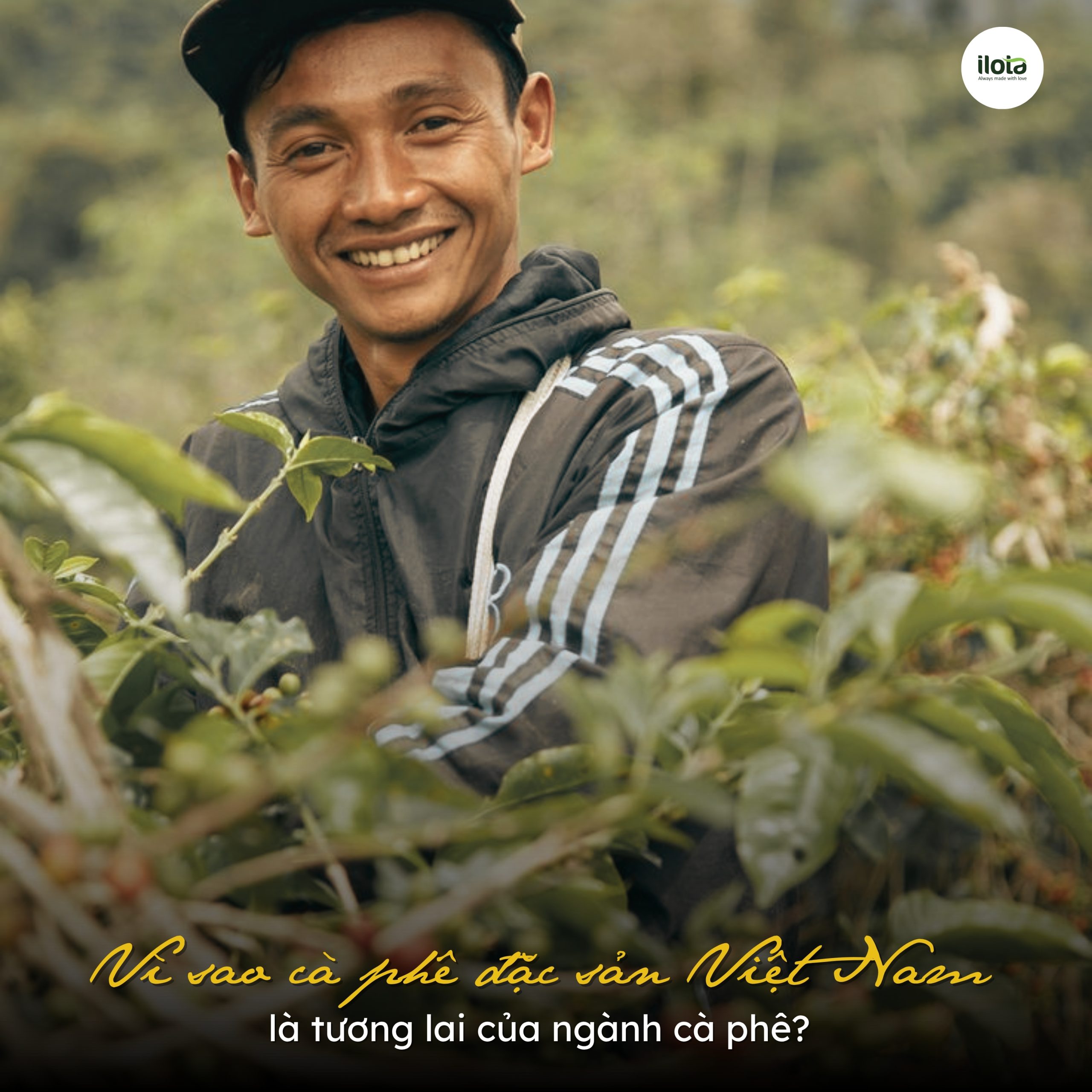 ca-phe-dac-san-viet-nam