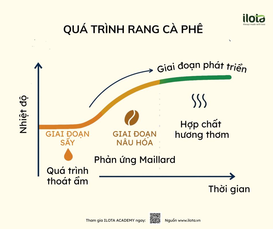 phan-ung-maillard