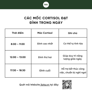 gio-vang-uong-ca-phe-de-hack-nang-luong