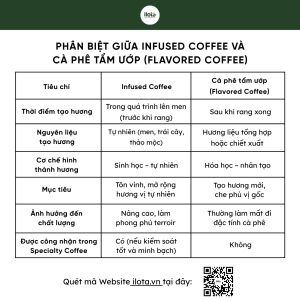 infused-coffee-ky-thuat-lay-cam-hung-tu-ruou-vang