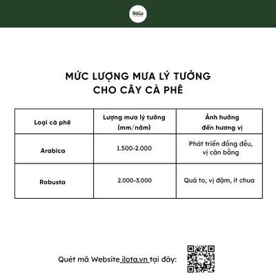 terroir-giai-ma-huong-vi-goc-cua-hat-ca-phe