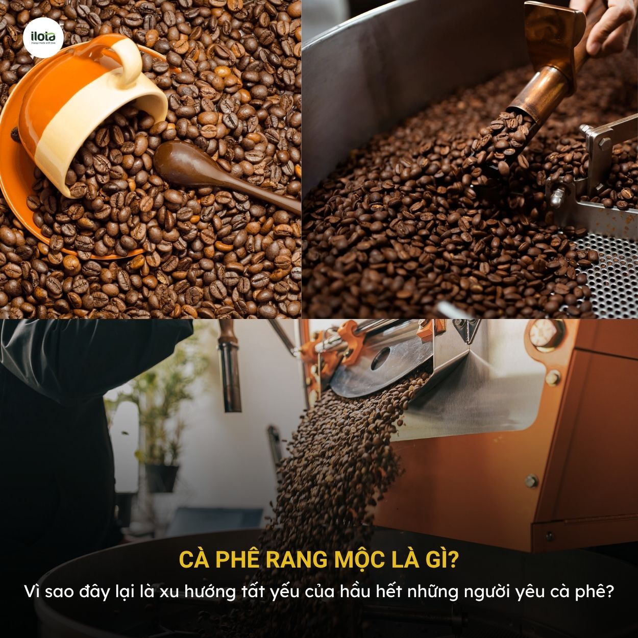 ca-phe-rang-moc-la-gi-xu-huong-tat-yeu