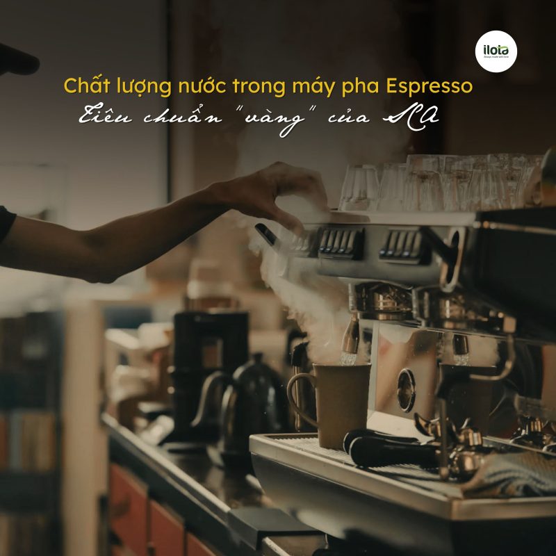 chat-luong-nuoc-trong-may-pha-espresso