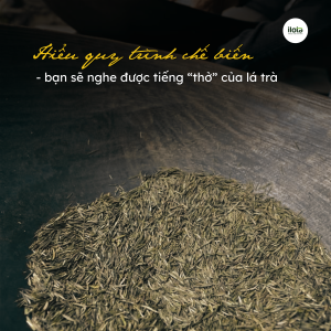 quy-trinh-che-bien-tra