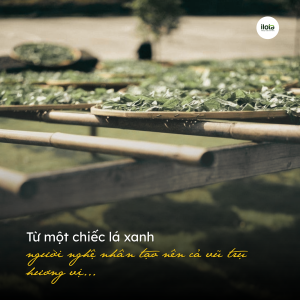 quy-trinh-che-bien-tra