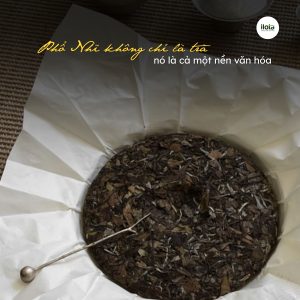 cach-pha-tra-pho-nhi