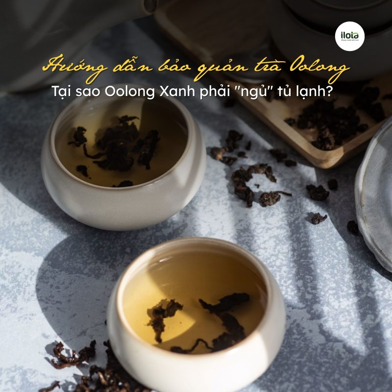 bao-quan-tra-oolong