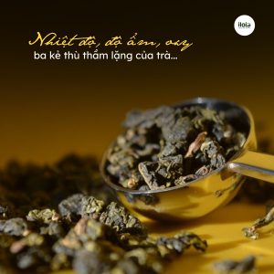 bao-quan-tra-oolong
