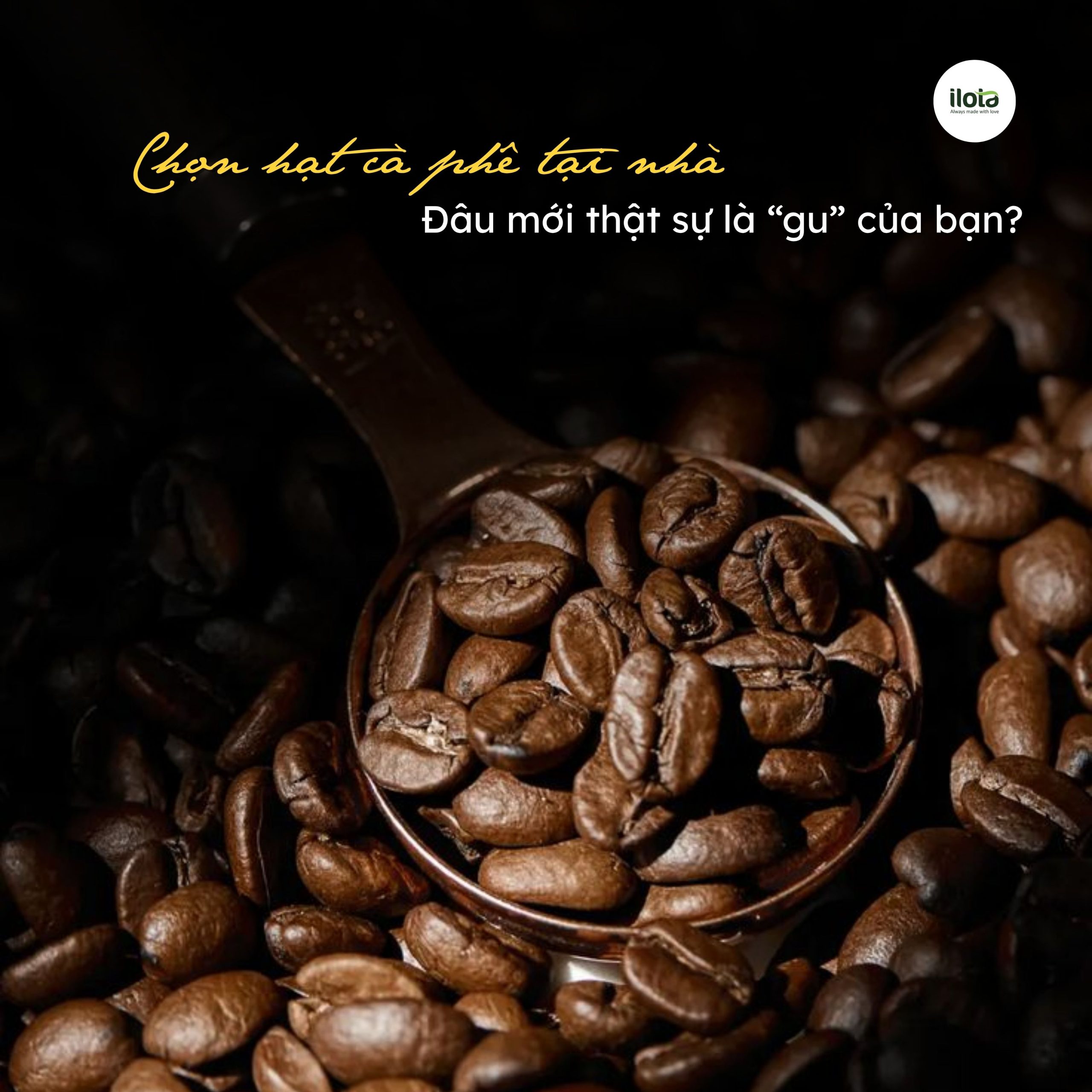 chon-hat-ca-phe-tai-nha