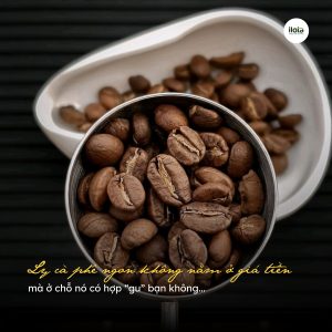 chon-hat-ca-phe-tai-nha