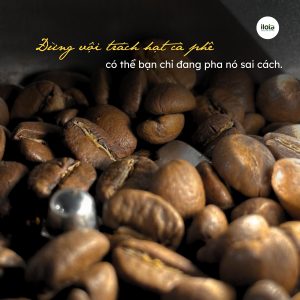 chon-hat-ca-phe-tai-nha