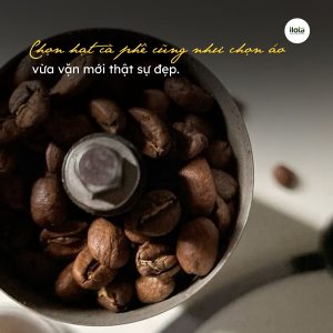 chon-hat-ca-phe-tai-nha