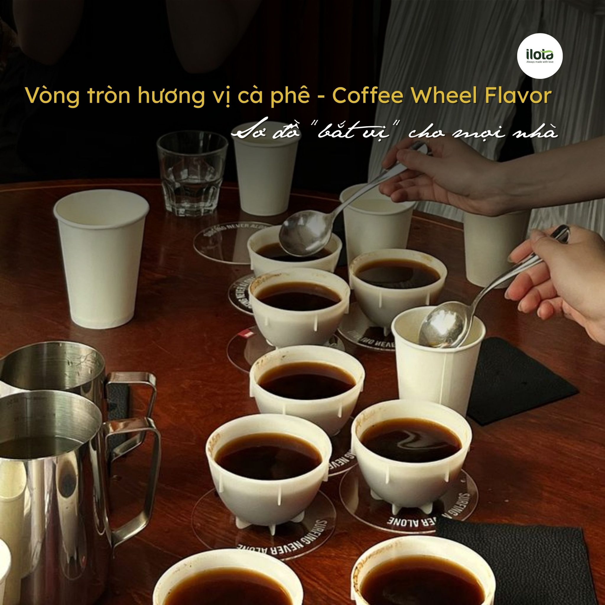 vong-tron-huong-vi-ca-phe