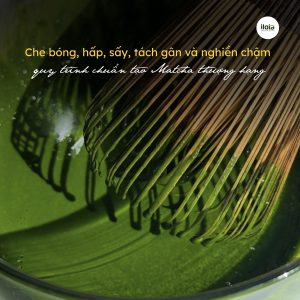 quy-trinh-che-bien-matcha