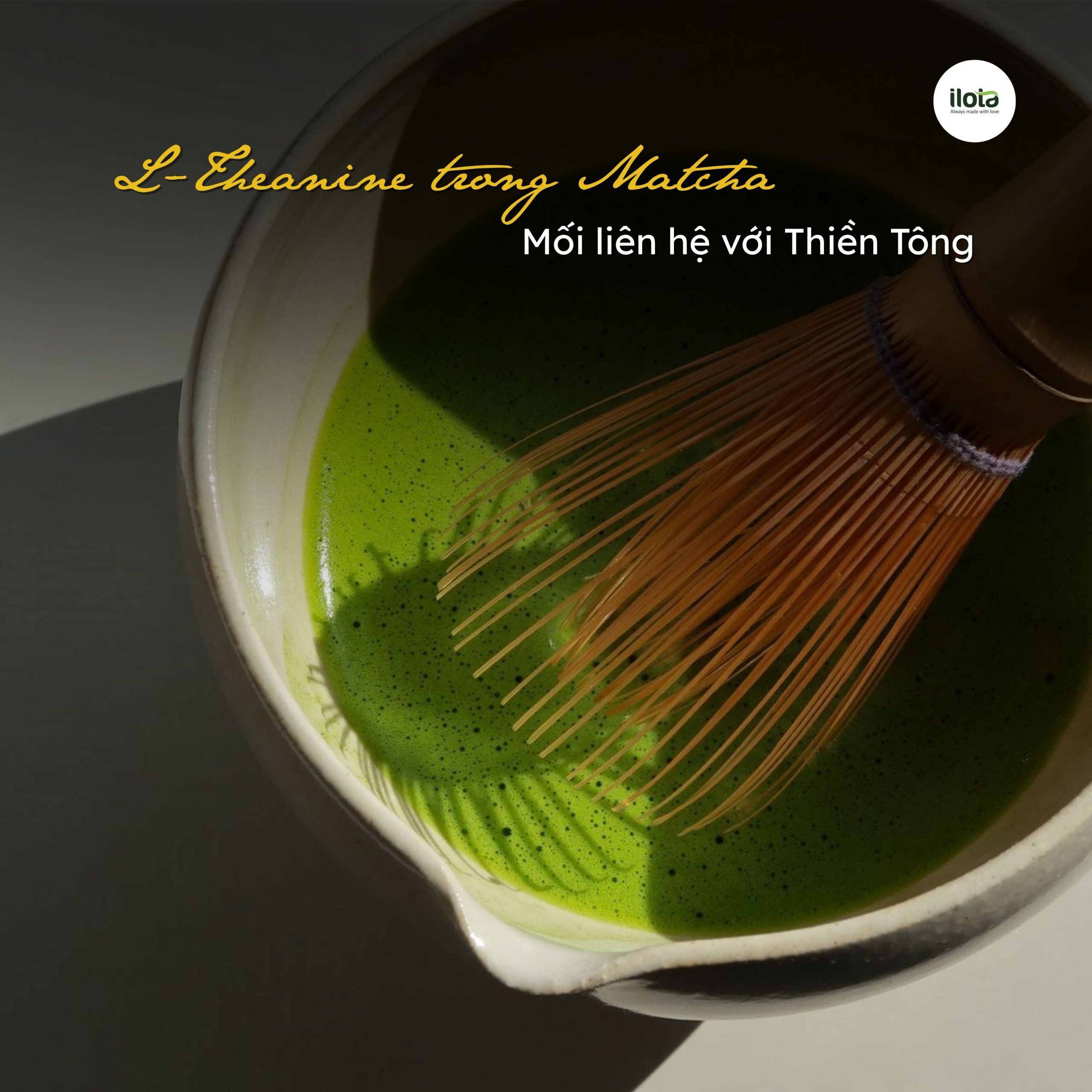 l-theanine-trong-matcha