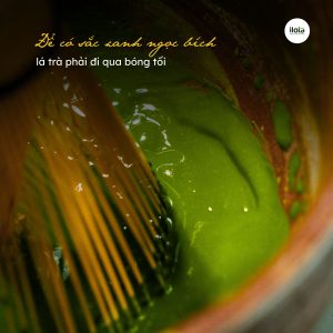 quy-trinh-che-bien-matcha