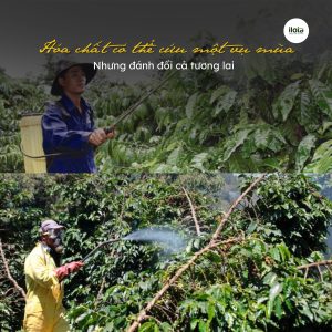 tuong-lai-nganh-ca-phe