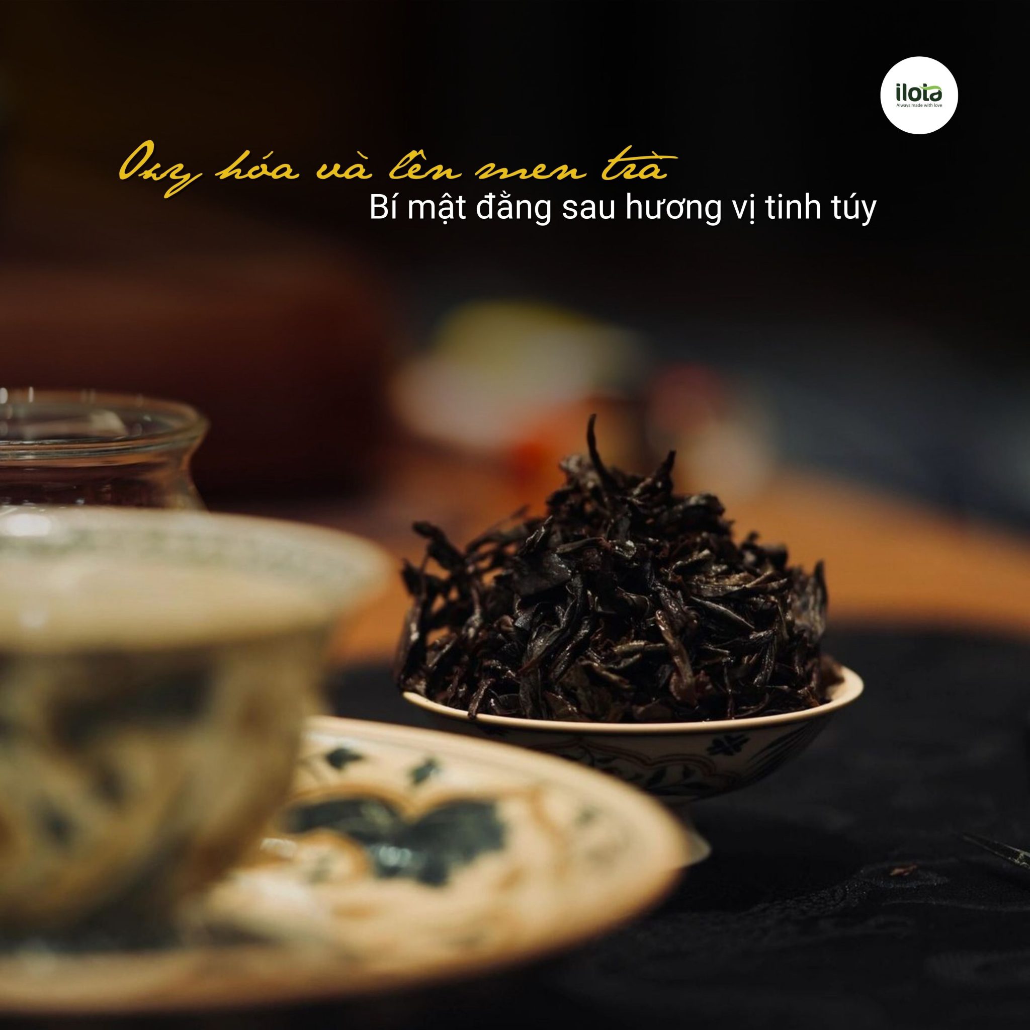 oxy-hoa-va-len-men-tra